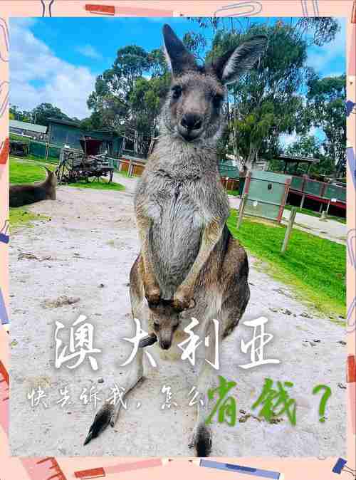 澳洲5技巧大剖析,盈利不再遥远