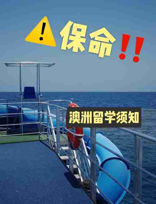 澳洲生存怎么破？五招必学技巧带你横着走！